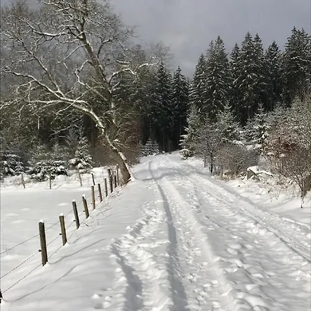Ferienwohnung Gretel Von Birne Winterberg